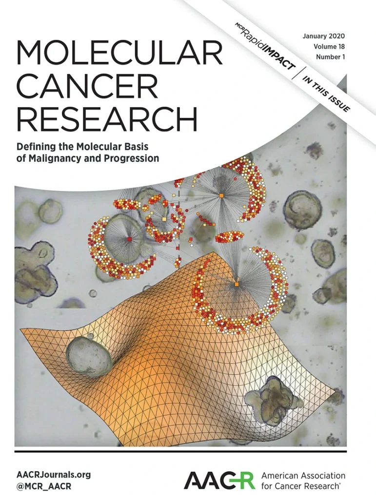 Capa de artigo de pesquisa.
Foto:fornecida por KAIST