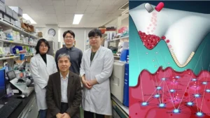 Cientistas desenvolvem inovação capaz de restaurar células cancerígenas sem quimioterapia.